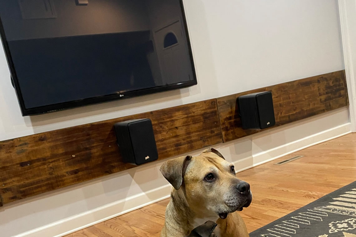 Best TV Mounting Springfield Illinois